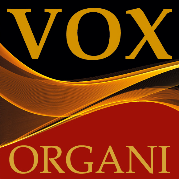 VOX ORGANI_Logo_qu